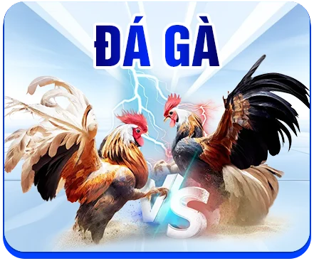 icon đá gà vn96